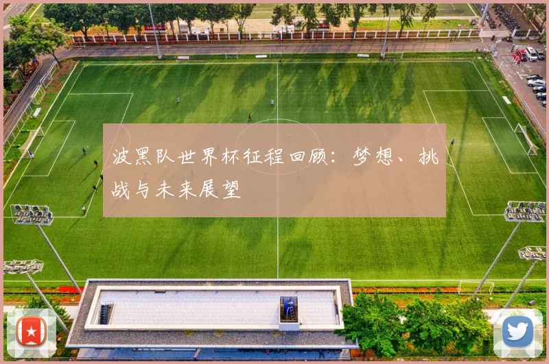 波黑队世界杯征程回顾:梦想、挑战与未来展望